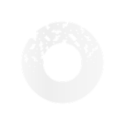 white logo